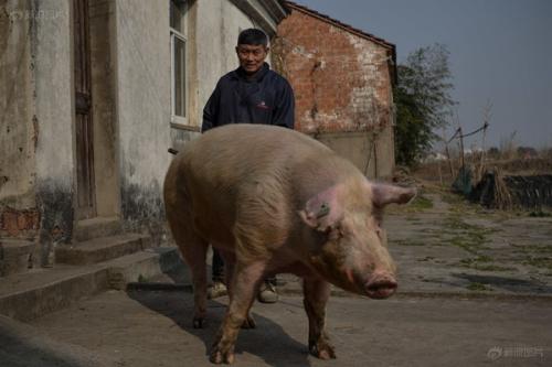 办证刻章、天王牌技、商务陪游:揭小广告背后