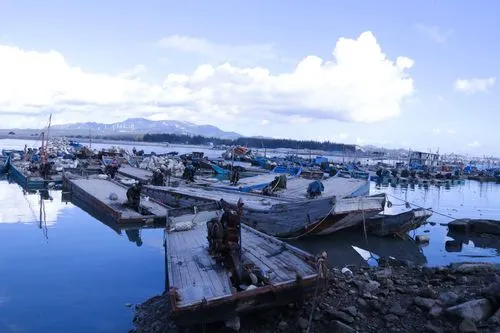 洞头渔港码头又见忙碌景象 每天有海鲜进入市场
