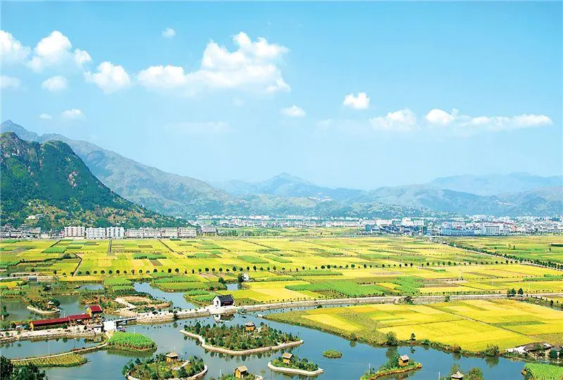 温州“跳出农业”抓农业 农业农村项目签约超200亿元