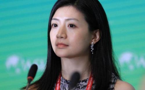 中国最美女富豪身价过百亿马云曾千里寻她