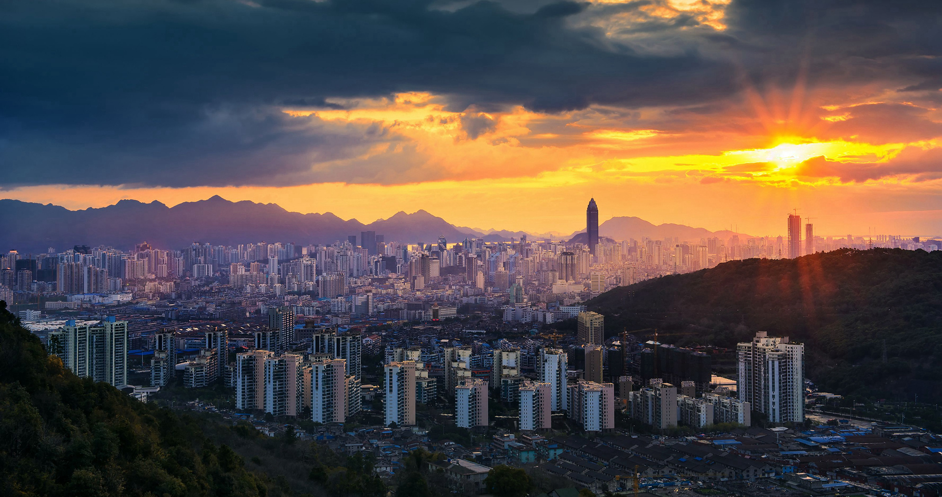 刻画企业健康发展全景画像 温州企业实现"用数据决策"-温州财经网