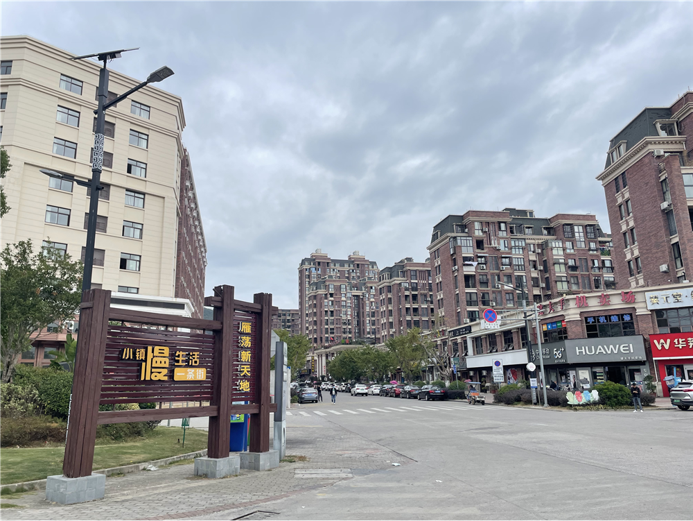 白溪街村商业繁荣,有雁荡中心菜市场,望雁楼大酒店,万和豪生·明庭