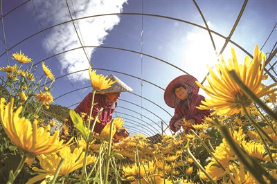 ɽʳƷ벢չ󹲸· ũҵ徭