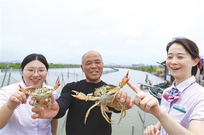 农行温州分行:铺展乡村振兴金融服务生态圈