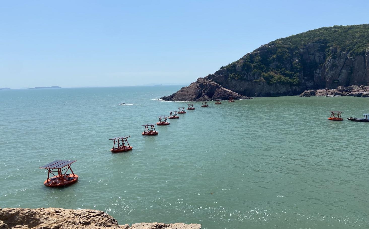 养鱼不用网!“黄鱼岛”用声波打造“海洋牧场”