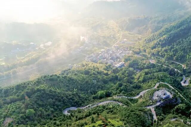 最高补助2000万元!温州三地入选!