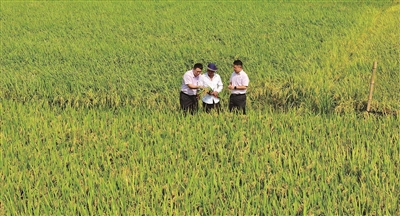 ˪ʱںáᡱ ũݷհ¡