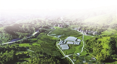 ĳŴɽҩȫں ɽزҵִ