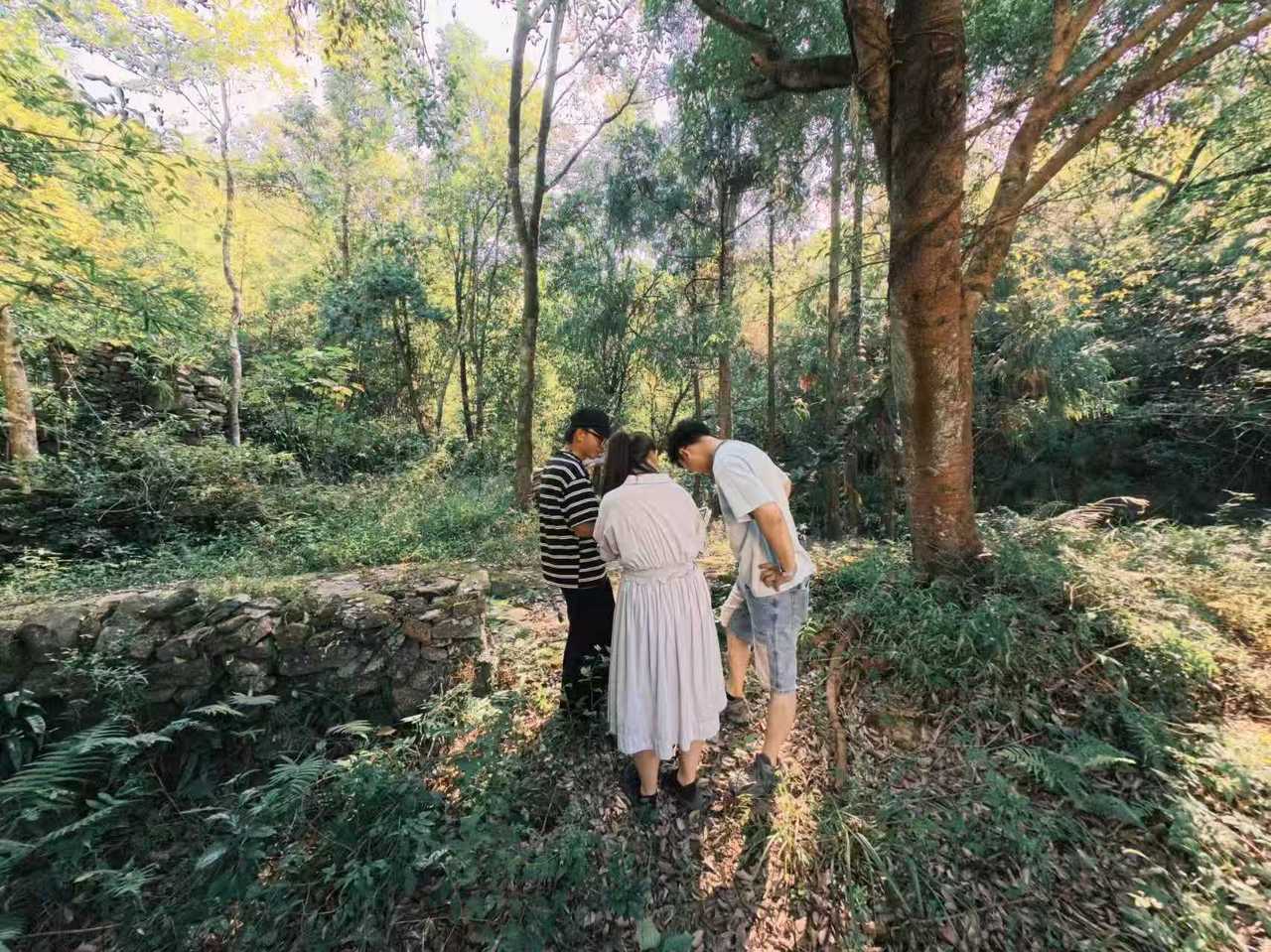 苍南激活青年入乡生态圈,农创园建在县城CBD