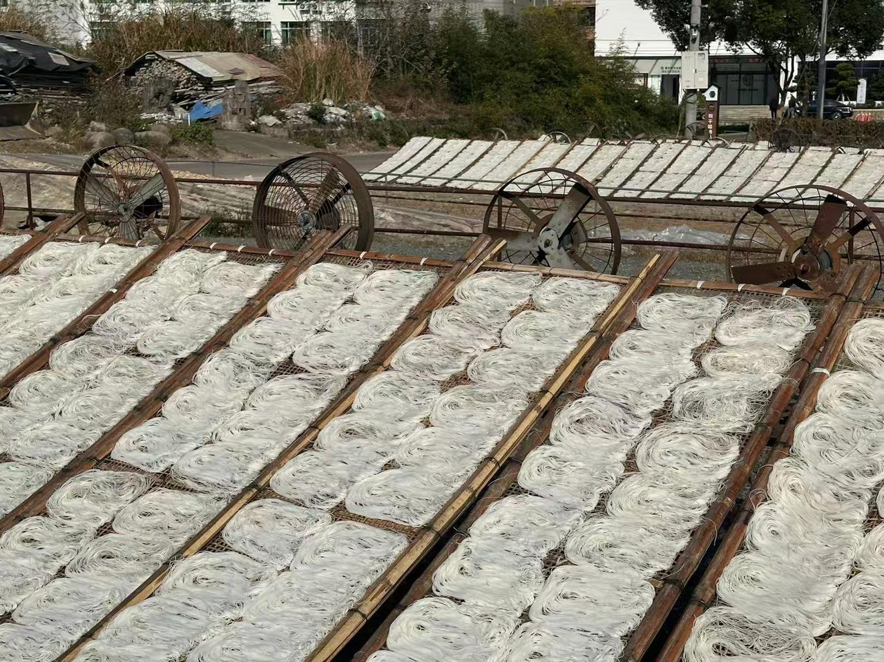 AI+粉干 永嘉文化特派员创意赋能乡村产业