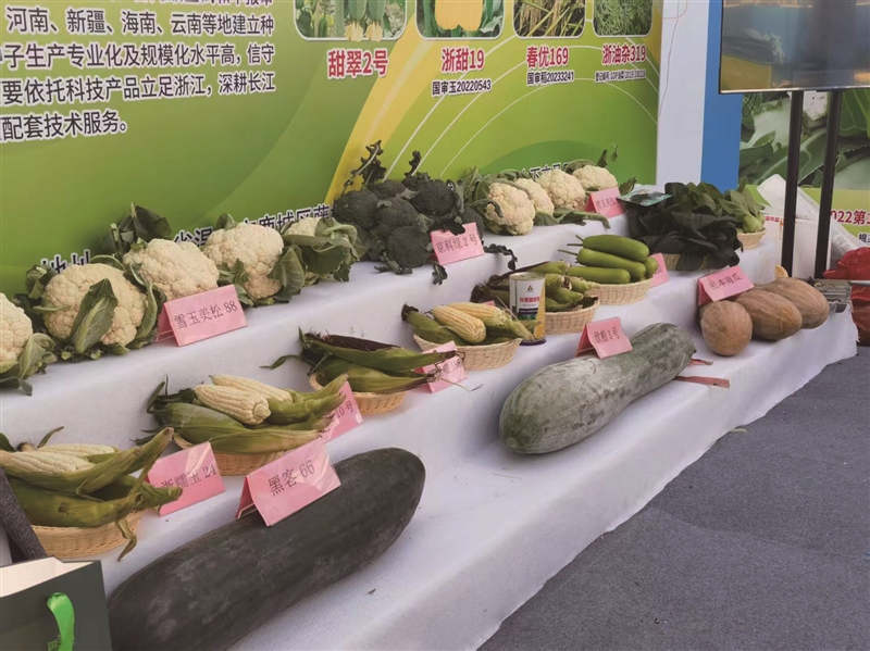 �Ϸ�(���ݣ���ҵ��ῪĻ 600����ר�ҡ���ֲ�������͡�����ѡ���֡�