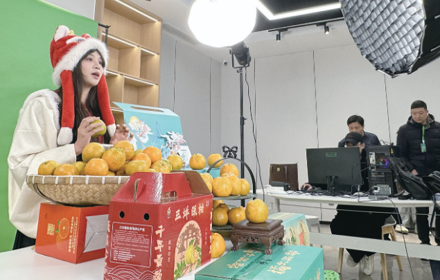 农业行家齐聚温州共话瓯柑 小众的“乡愁水果”更出众