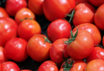 �Ƽ�����Ա���� ̩˳ˮ�෬��ʵ�ֶ�������