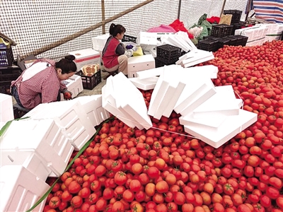 ���Ѽ۸����߸� ������ֲ����ץ�ƽ��г�