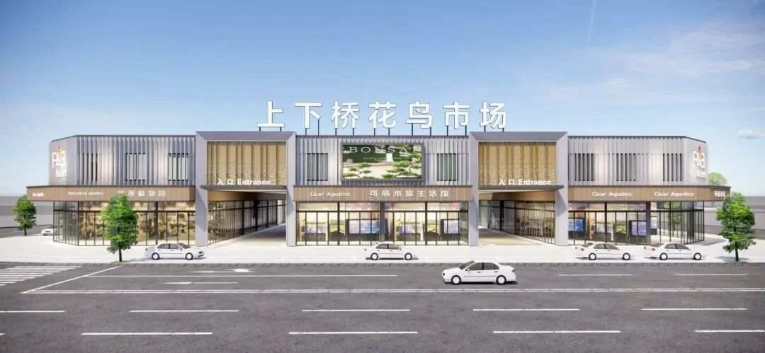 上下桥花鸟市场焕新归来!新春市集抢先亮相