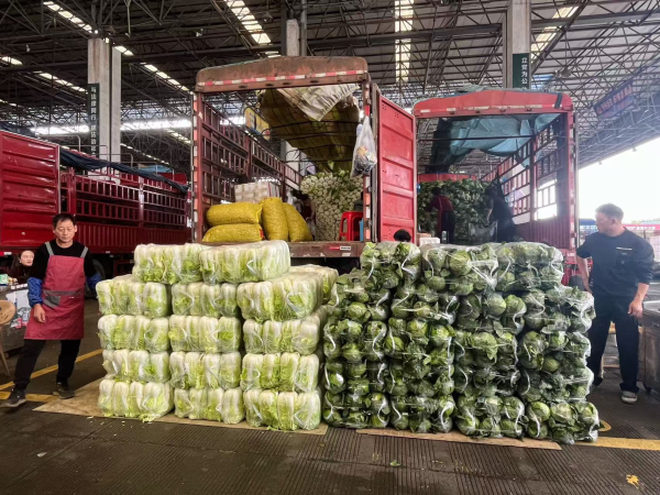 ��������Ȳ���Cλ���ˣ�һ��Թ�236��