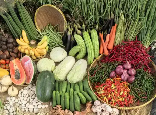 ���ա������ӡ������ӡ��ⰸ�ӡ����ȵ���