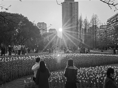 �����´����ˡ����� �����Ͻ֡���������԰��˺����ֲ�ͣ