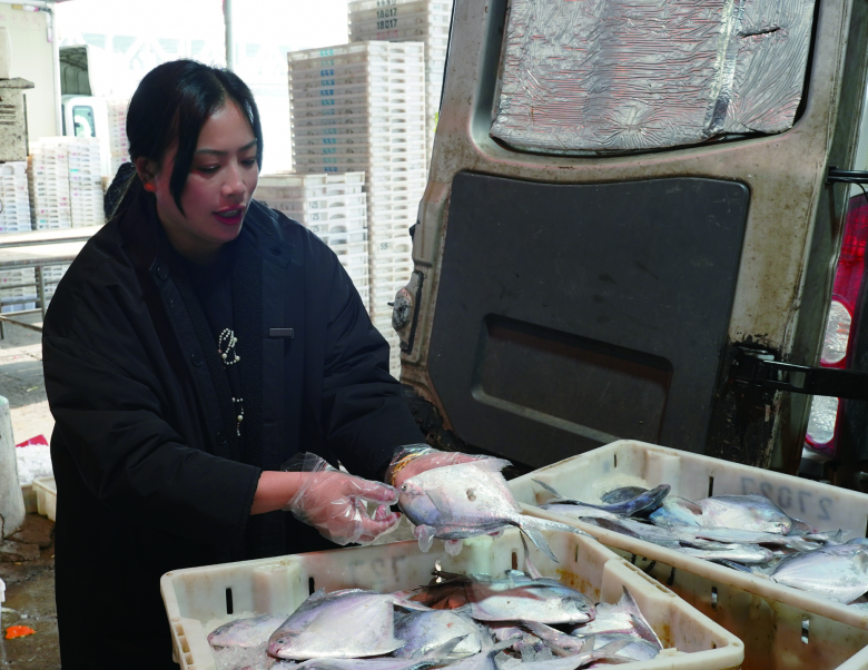 ������������һ���ֻ������� ��������200��Ԫ