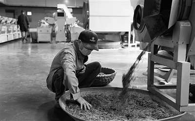 “早”字一招鲜?温州早茶如何走得更远