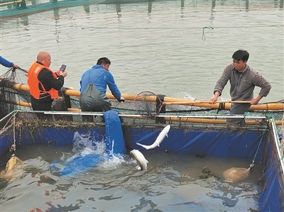 ���ݲ��������㡱������� ���ģ��ֳ�������ʳ��ų�