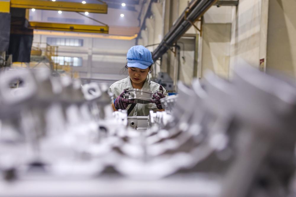 ���������걨�������й����õġ������롰�¡�