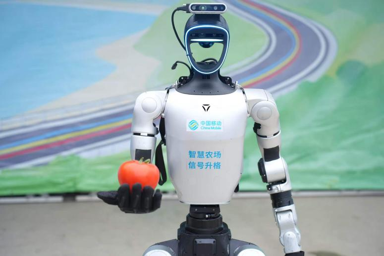 ����ƴ�ź�|�ź������ܡ���ɫ��ҵ�� ���Ϸ���԰�ܳ�������ˡ����ٶȡ�