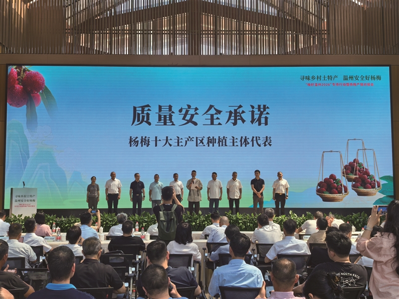 “梅好温州2026”专项行动暨杨梅产销对接会举行 十大杨梅采摘游线路发布