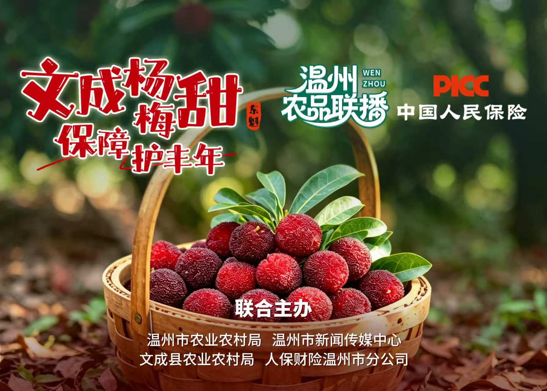直播预告|鲜甜好吃 保障护航!6月18日文成杨梅专场美味开播!