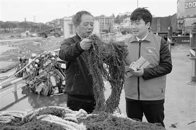 专利、紫菜都能变“真金白银”温州金融“活水” 精准浇灌科创与海洋经济